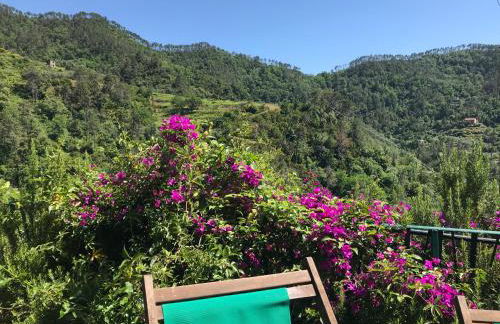 Cottage La Terrazza - Foto 11