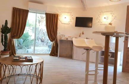 Studio villa château Currault - Foto 20