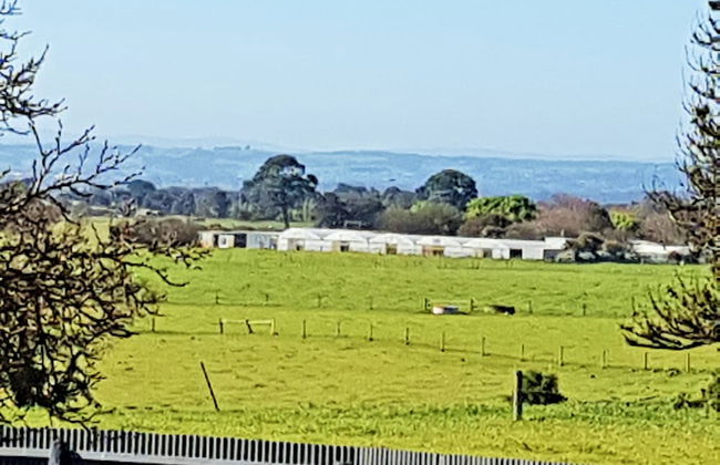 Coragulac House Cottages - Foto 26