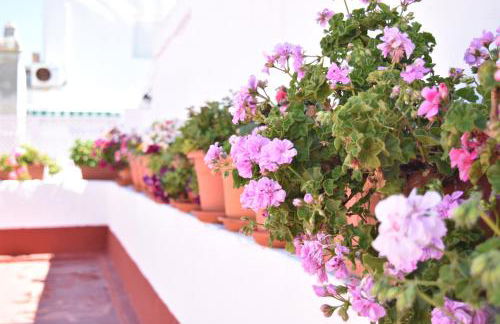 Apartamento La Discusión de Veedor 12 - Foto 10