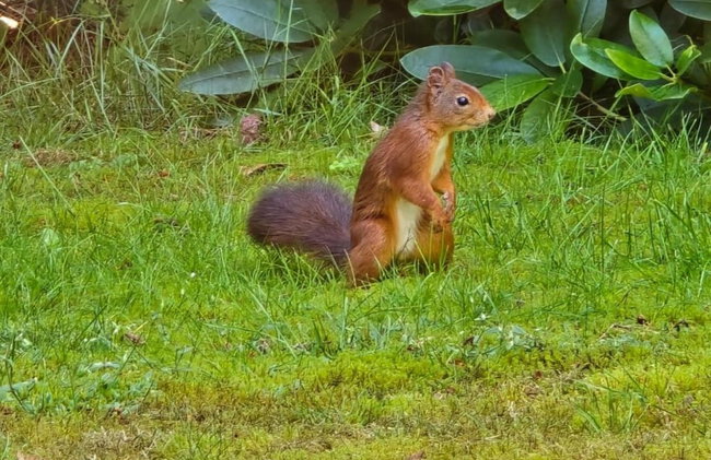 Holiday Home in Holten Near Lake Ijssel - Foto 27