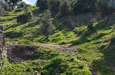 Casa rural rio yeguas - Foto 22