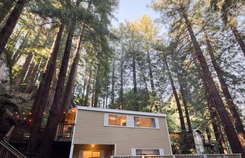 Window to the Redwoods - Near Downtown MV, Dipsea Trail, & Muir Woods - Foto 22