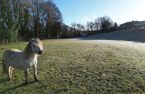 The Cabin Leat Road - Foto 16