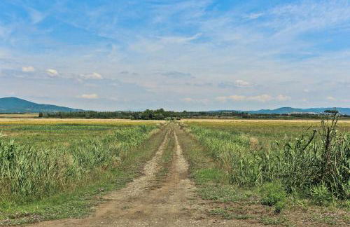 Villa With Views Of The Tuscan Maremma - Foto 19