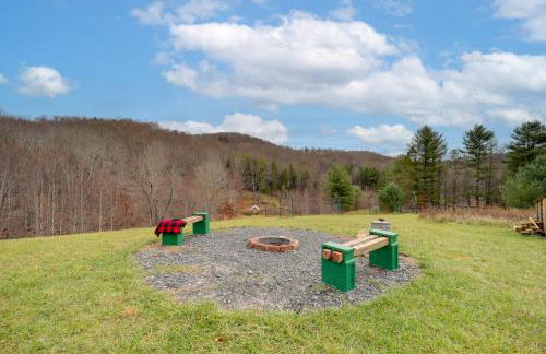 Hike, Ski and More Blue Ridge Mountain Escape - Photo 28