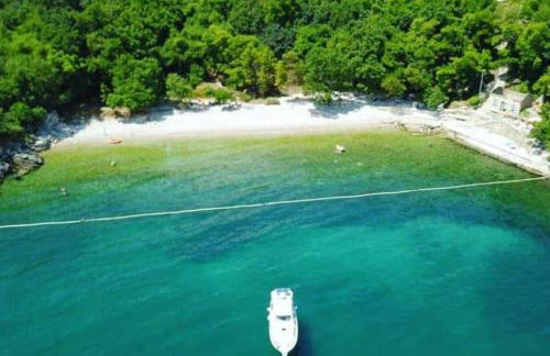 Salty Paws Medveja - Foto 1