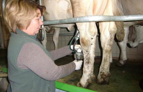 Ferienhof Steinmüller - Foto 34