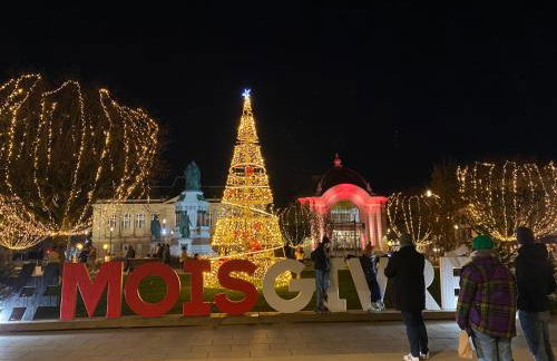 Le Cocon du lion - Foto 25