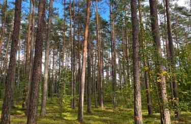Haus 2 am Grimnitzsee - hochwertiges Design, mit eigenem Garten und nah am See - Foto 30