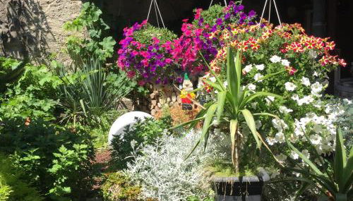 Haus Gisela - Foto 2, Garden