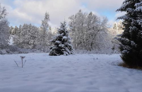 Chalet Waldstadl oder Andrea's Woidhaisl - Foto 41