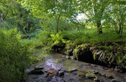 Ta Mill Cottages & Lodges - Pump Cottage - Foto 48