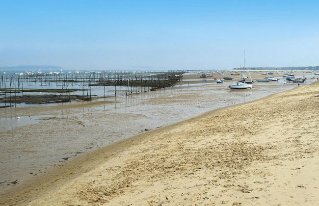 Heritage Mansion on Arcachon Bay - Foto 12