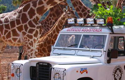 Calamedde Guest House nel Centro Storico Pugliese - Photo 38