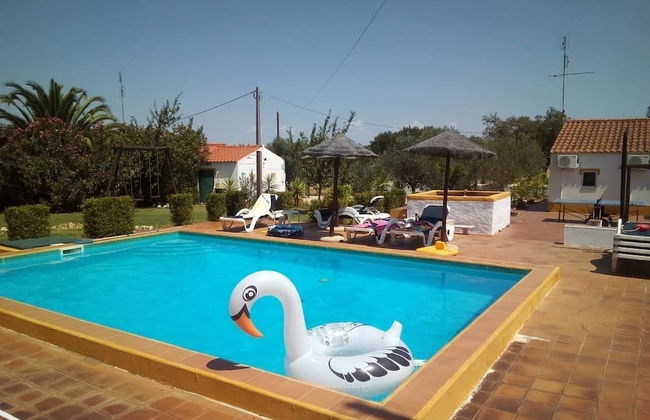 Monte dos Pintos - Foto 17