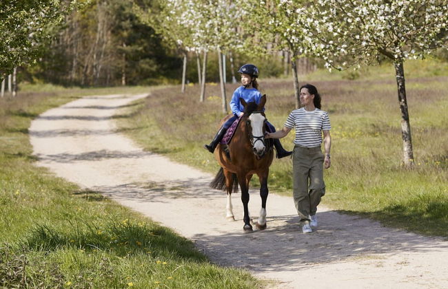 Ferienhaus in Mecklenburg-vorpommern mit Tropenpool & Spa - Photo 15