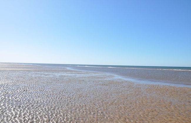 Luxury 2 Bedroom van Pets go Free - Foto 26