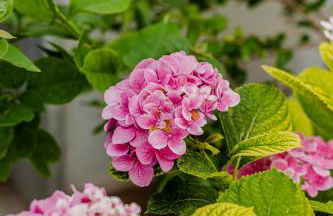 Casa Gabriella - Appartamento - Foto 8