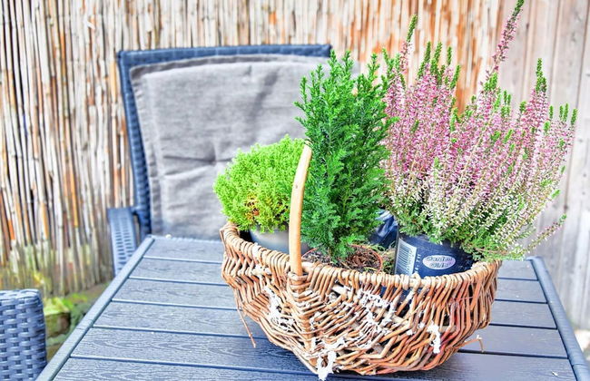 Ferienwohnung in Wismar im Stadtzentrum - Foto 21