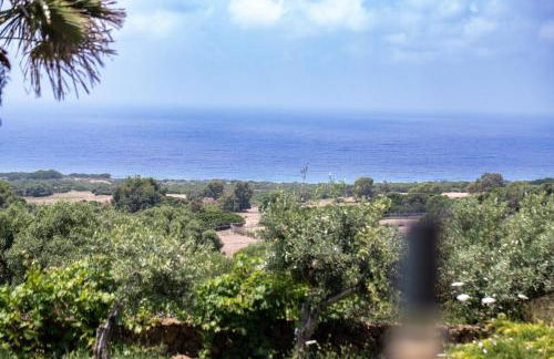 Villa Dune di Scivu - Foto 17