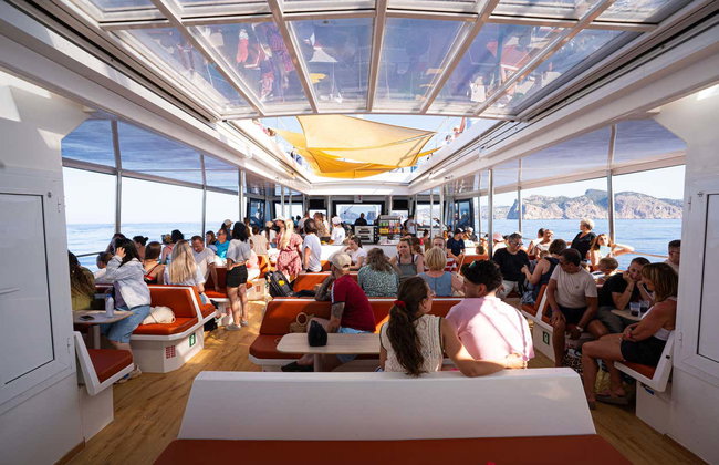 Avistamiento de delfines en el sur de Mallorca - Foto 8