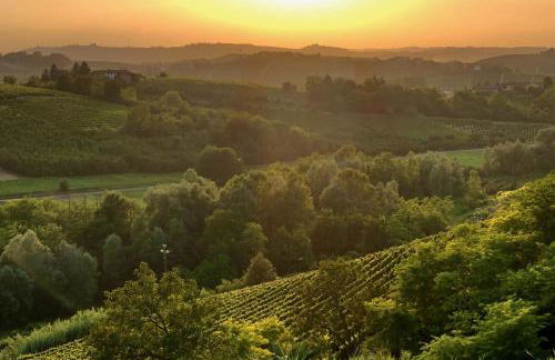 Villa La Mura - Luxury Pool by the Vineyard - Foto 51