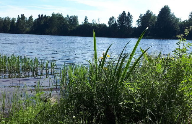 Tiny hut in the Forest Overlooking the River - Photo 32