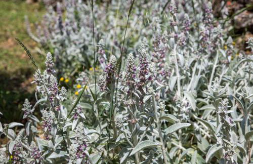 Stone Villa Bosnic - Foto 75