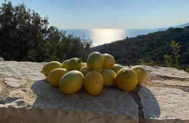 Apollo Romantic Sea View Villa - Photo 66