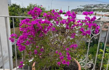 Chez Marie Ischia - Foto 23