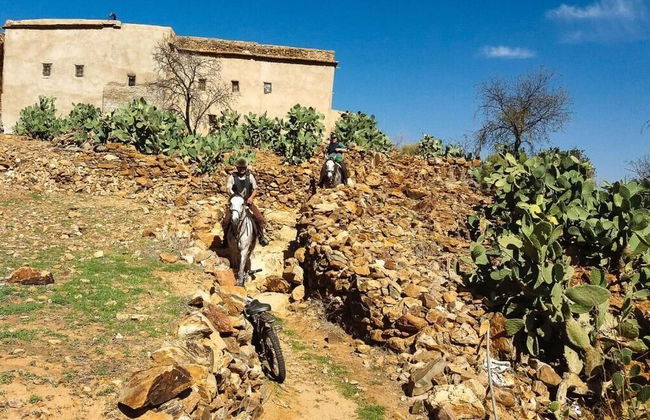 Bio et Bois - Foto 58