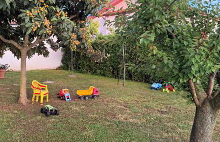 Oasi di Angelica villa con piscina privata - Foto 14