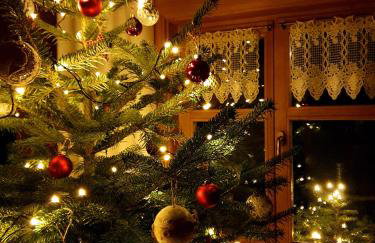 Dom na Kamieńcu - Photo 48