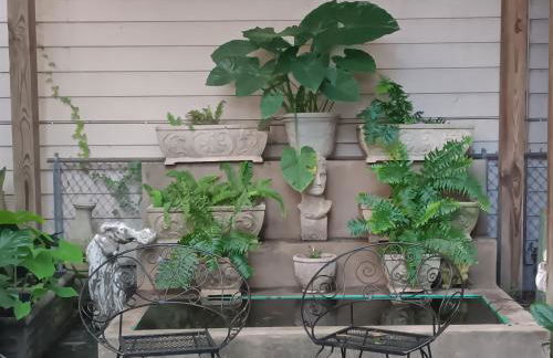 Refuge in the Heart of Montrose - Photo 17