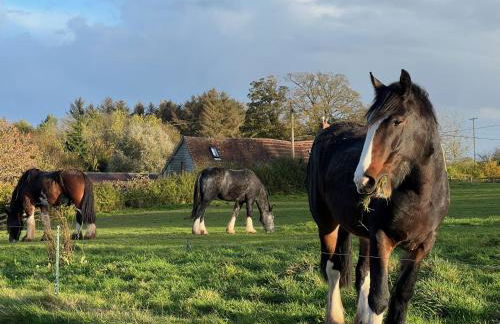 Gooseyard at Middle Farm and Cottages - Foto 23