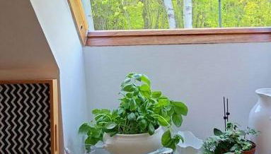 Wohnung am Meer mit Garten - Foto 4