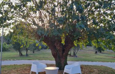 Orto della Lepre - Foto 11