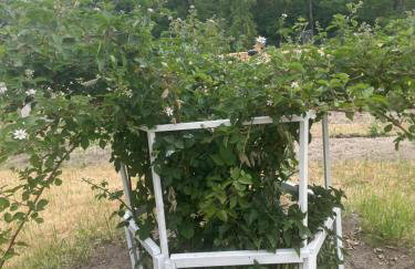 Kopice " Kowalczyk In Nature Parks Blue Velo" - Foto 38