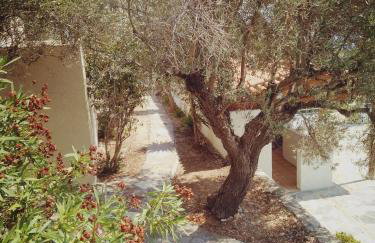 Vigla-Βίγλα 1 2 - Photo 44