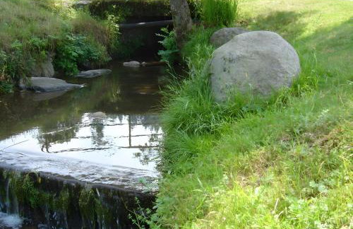 Gästehaus Brigitte Kienzler - Foto 4