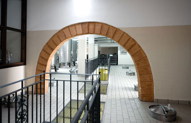 Agriturismo Sirignano Wine Resort - Photo 24