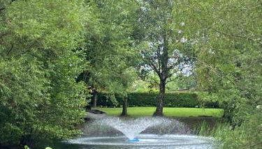 Rose cottage - Foto 2