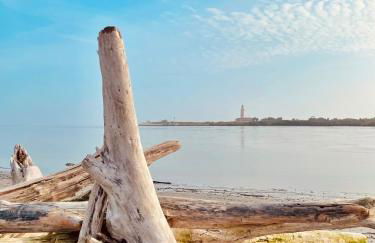 Gorinoapartment - Foto 27