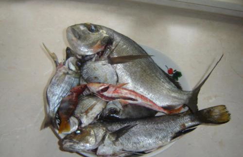 Josip Blue Horizon Apartments - Foto 15