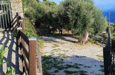 Aris Studio Corfu - Foto 47