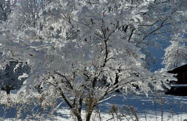 Berg Fux ideal für Familien mit Hund, 2 Schlafzimmer, Balkon, Parkplatz - Foto 24