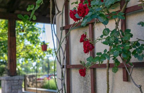 Studio Apartment - Foto 22