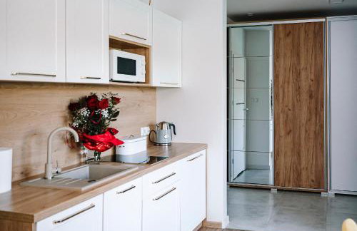 Apartament ZłotogórSKI Lądek-Zdrój - Foto 14