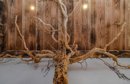 Agritur LA DASA - Foto 32